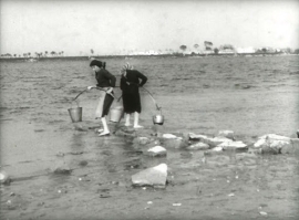 Acqua da bere nel Delta, anni ‘50