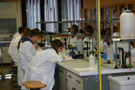 Laboratorio di chimica